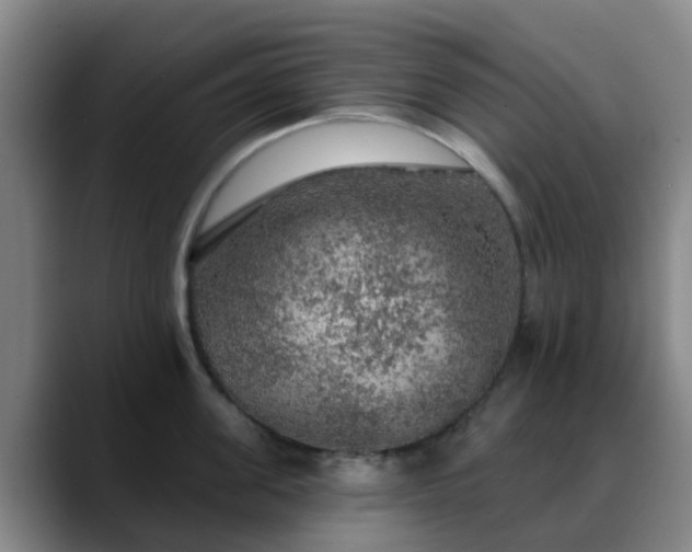 X0000088870955200706151751