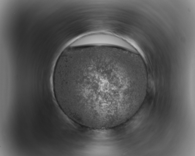 X0000088870959200706151751