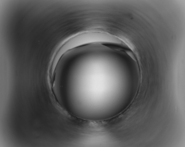 X0000088870960200706151751