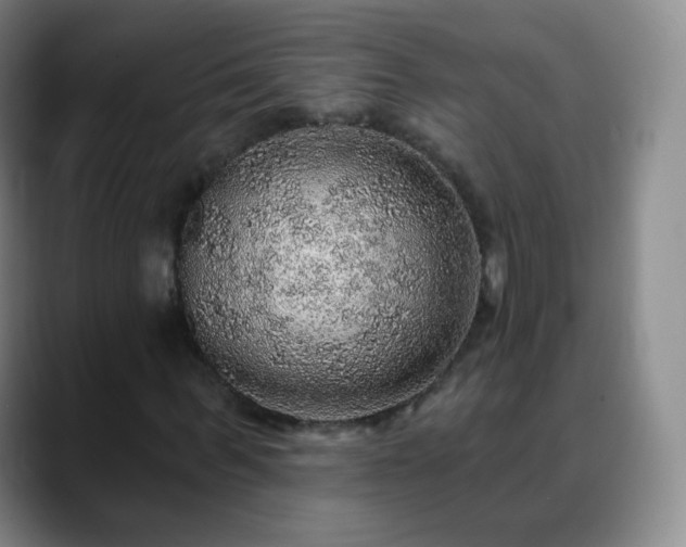 X0000088870963200706151750