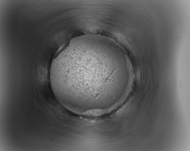 X0000088870964200706151750