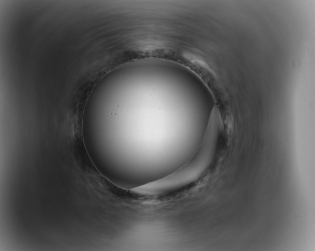 X0000088870965200706151750