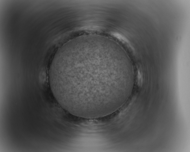 X0000088870966200706151750