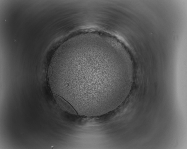 X0000088870967200706151750