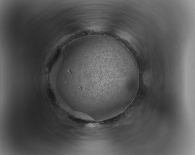 X0000088870968200706151750