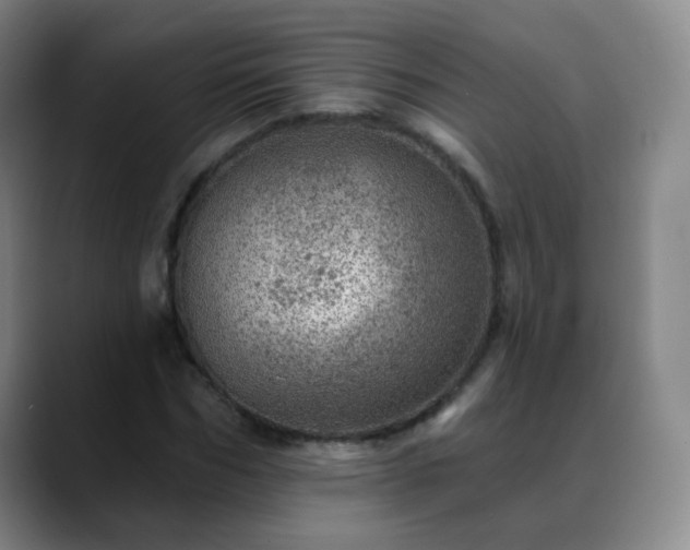 X0000088870970200706151750