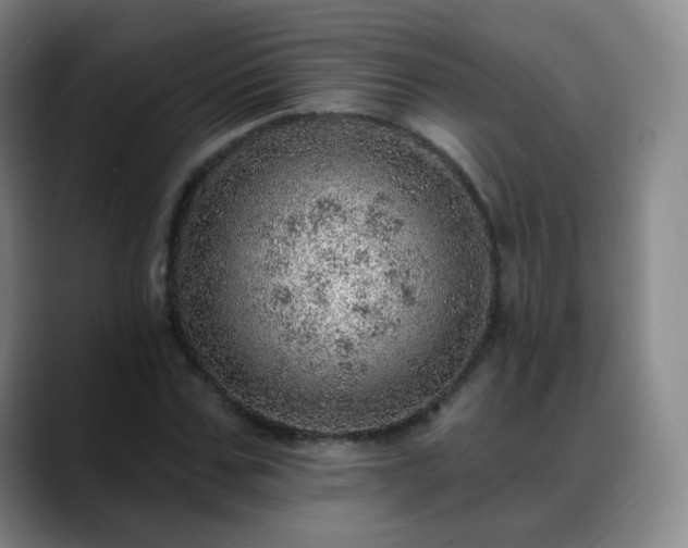 X0000088870971200706151750