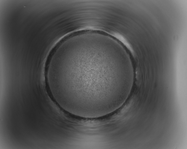 X0000088870972200706151750
