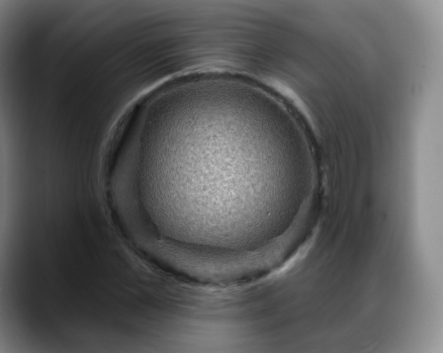 X0000088870973200706151750