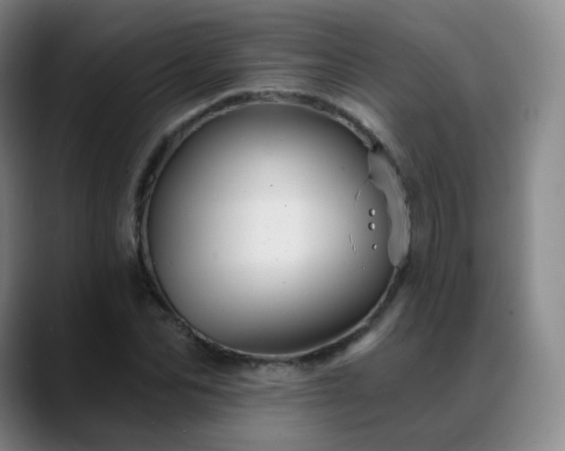 X0000088870974200706151750