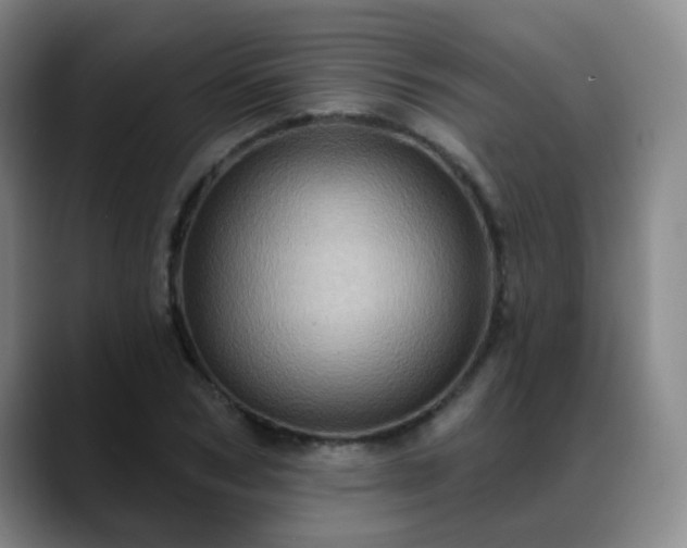 X0000088870978200706151750