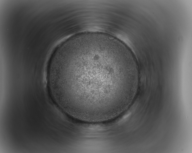 X0000088870979200706151750