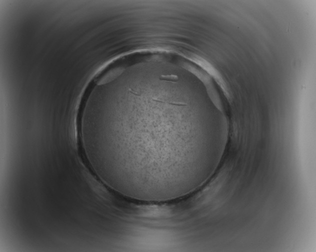 X0000088870980200706151750