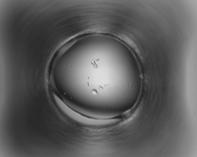 X0000088870981200706151750