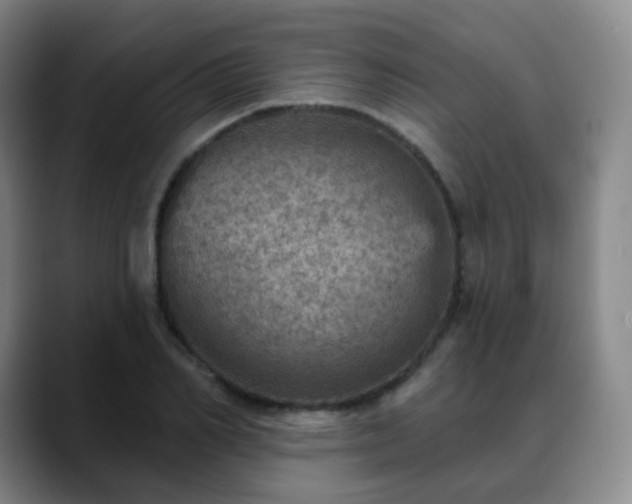 X0000088870982200706151750