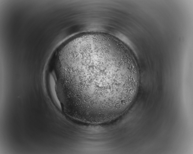 X0000088870983200706151750