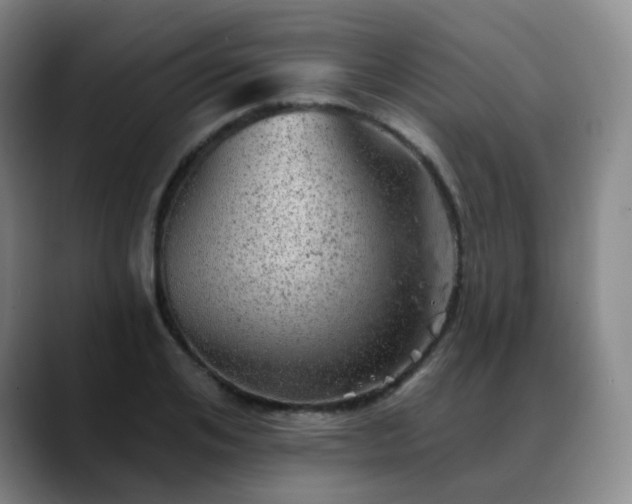X0000088870984200706151750