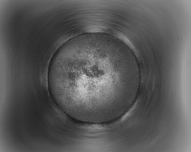 X0000088870986200706151750