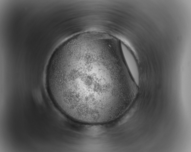 X0000088870991200706151750