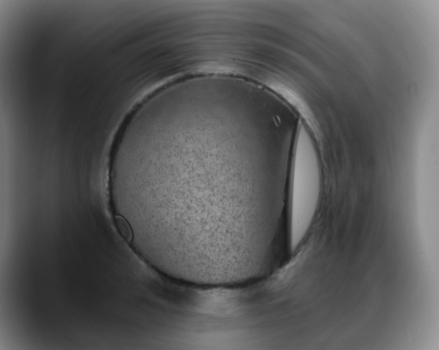 X0000088870992200706151750