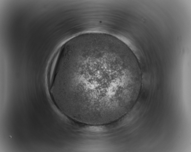 X0000088870998200706151750