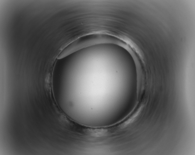 X0000088871001200706151750