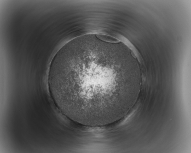 X0000088871002200706151750
