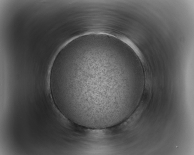 X0000088871004200706151750