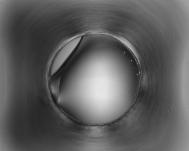 X0000088871005200706151750