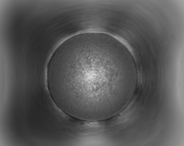 X0000088871006200706151750