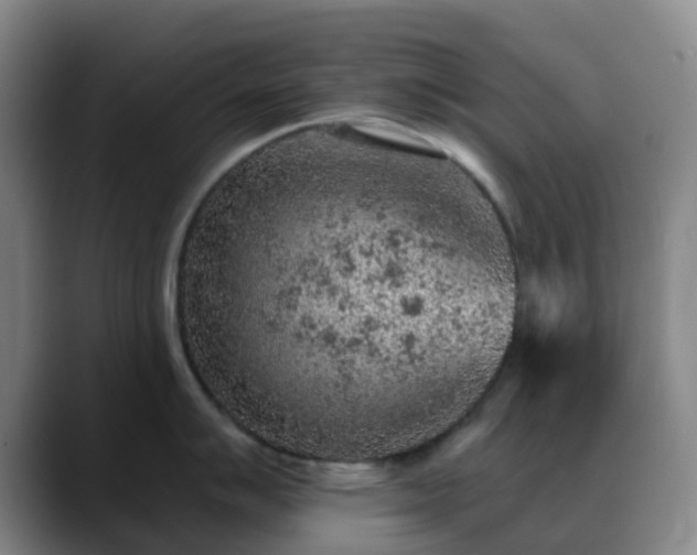 X0000088871007200706151750