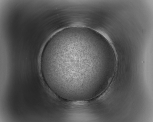 X0000088871008200706151750