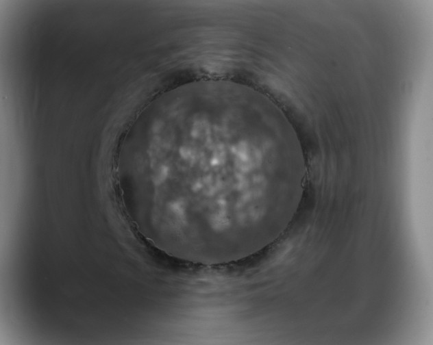 X0000088871009200706151749