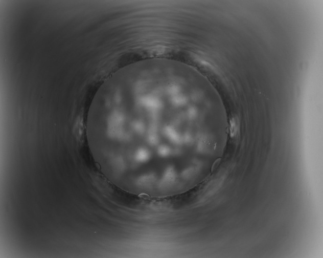 X0000088871011200706151749