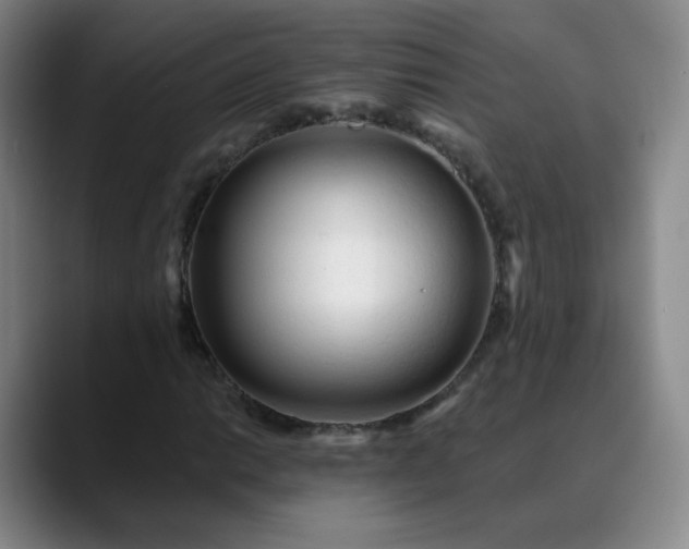 X0000088871014200706151749