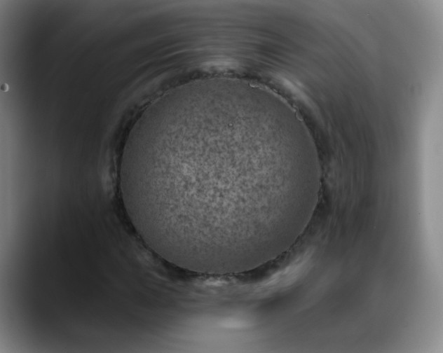 X0000088871015200706151749