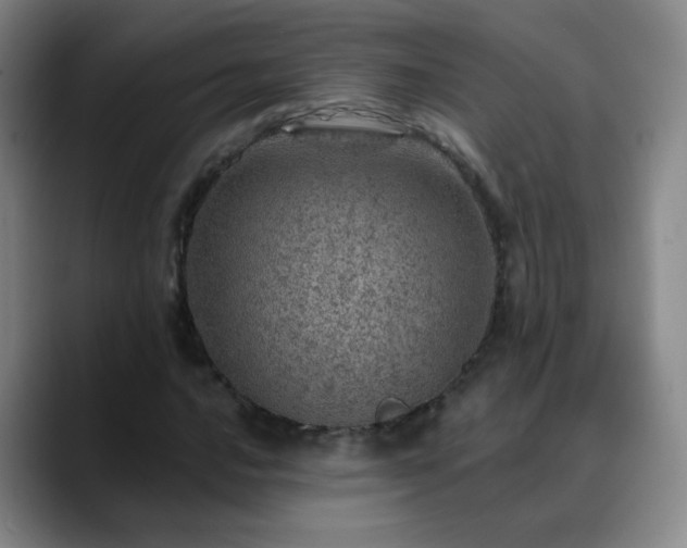 X0000088871016200706151749