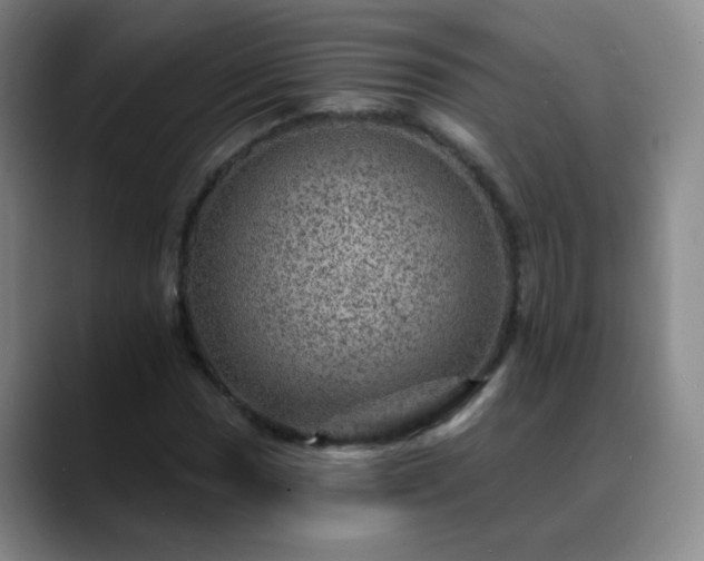 X0000088871017200706151750