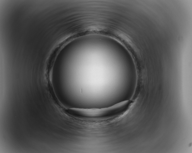 X0000088871018200706151750