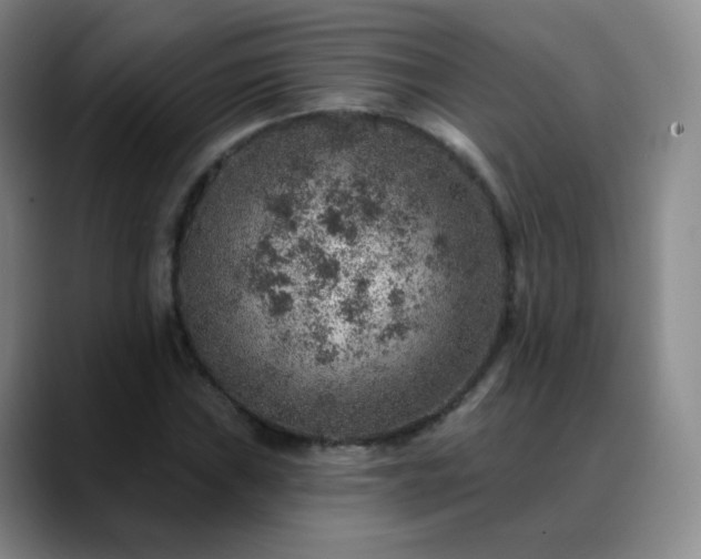 X0000088871019200706151750