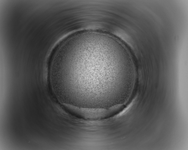 X0000088871021200706151750