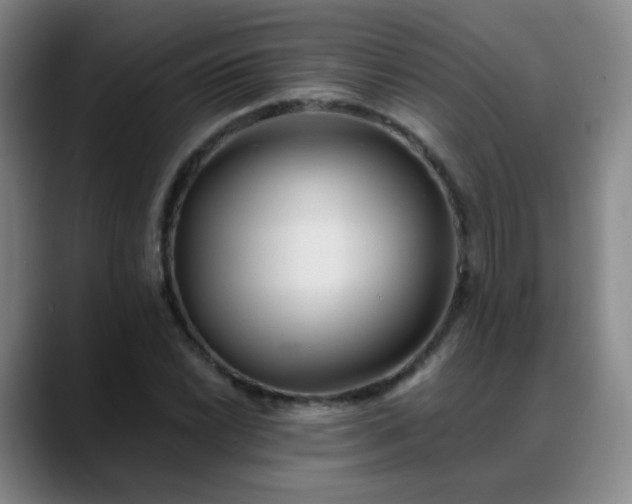X0000088871022200706151750