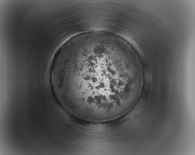 X0000088871023200706151750