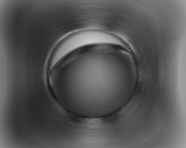 X0000088871024200706151750