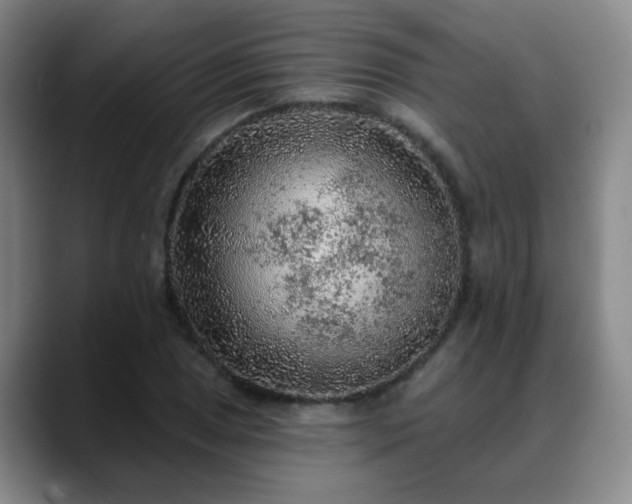 X0000088871025200706151750