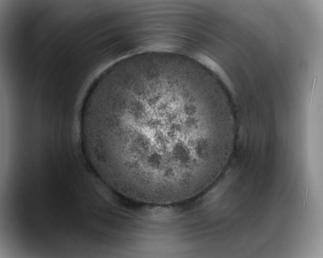 X0000088871027200706151750
