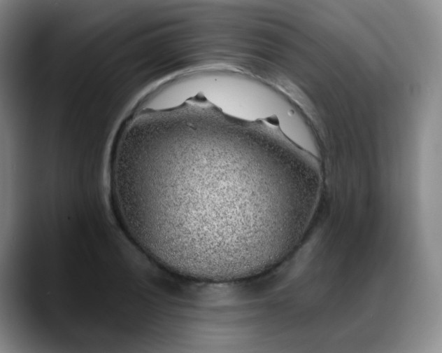 X0000088871028200706151750