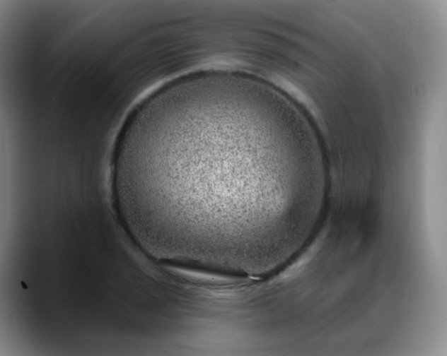 X0000088871029200706151750