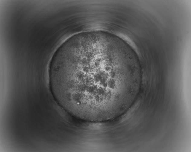 X0000088871031200706151750