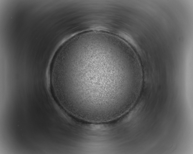 X0000088871032200706151750